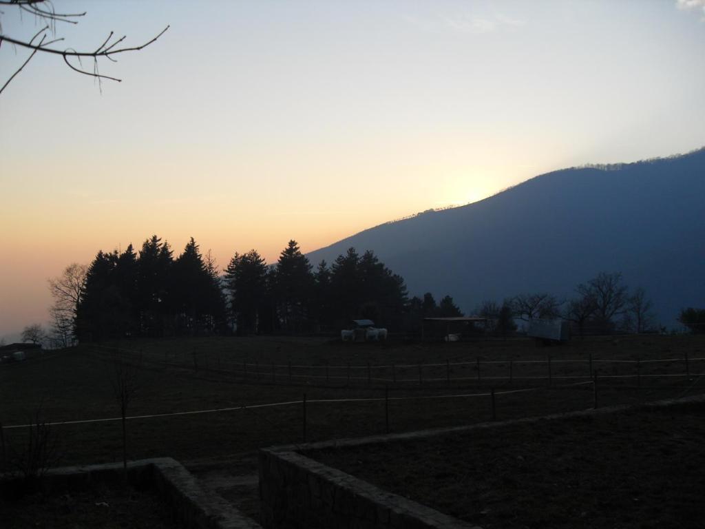 Вілла Agriturismo Le Vigne Montale  Номер фото